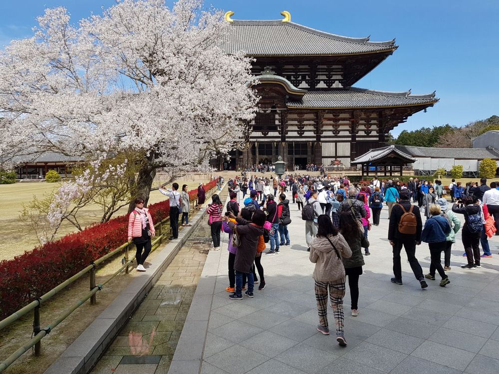 Todaiji Nara